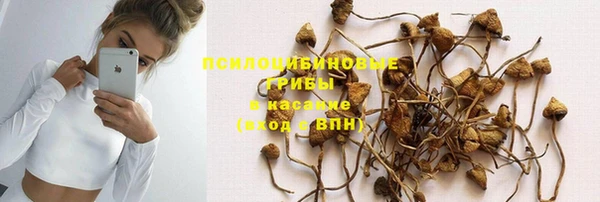 гашик Армянск