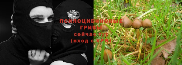 синтетический гашиш Арсеньев