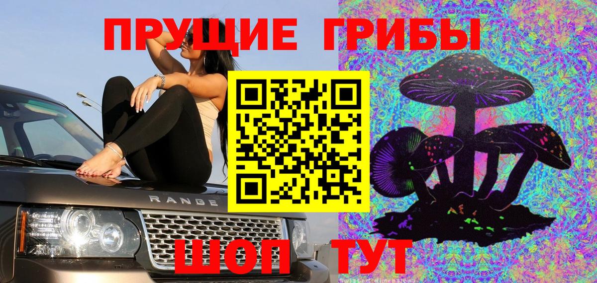 Галлюциногенные грибы Psilocybe Чайковский